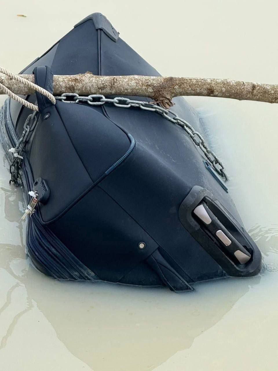 泰国惊现行李箱抛尸案