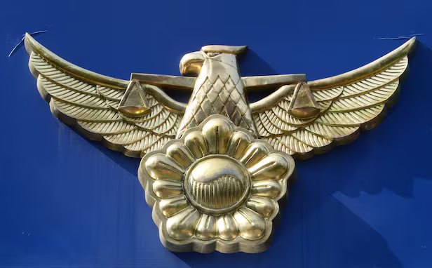 诈骗84亿韩元 在芒果园搞金融盘20人被抓 