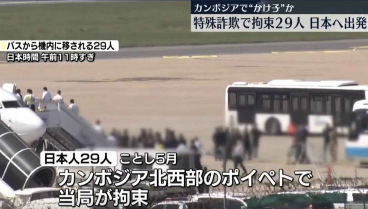 柬埔寨诈骗园区豢养猛兽噬尸 狮子老虎鳄鱼 #专吃日本猪仔尸体