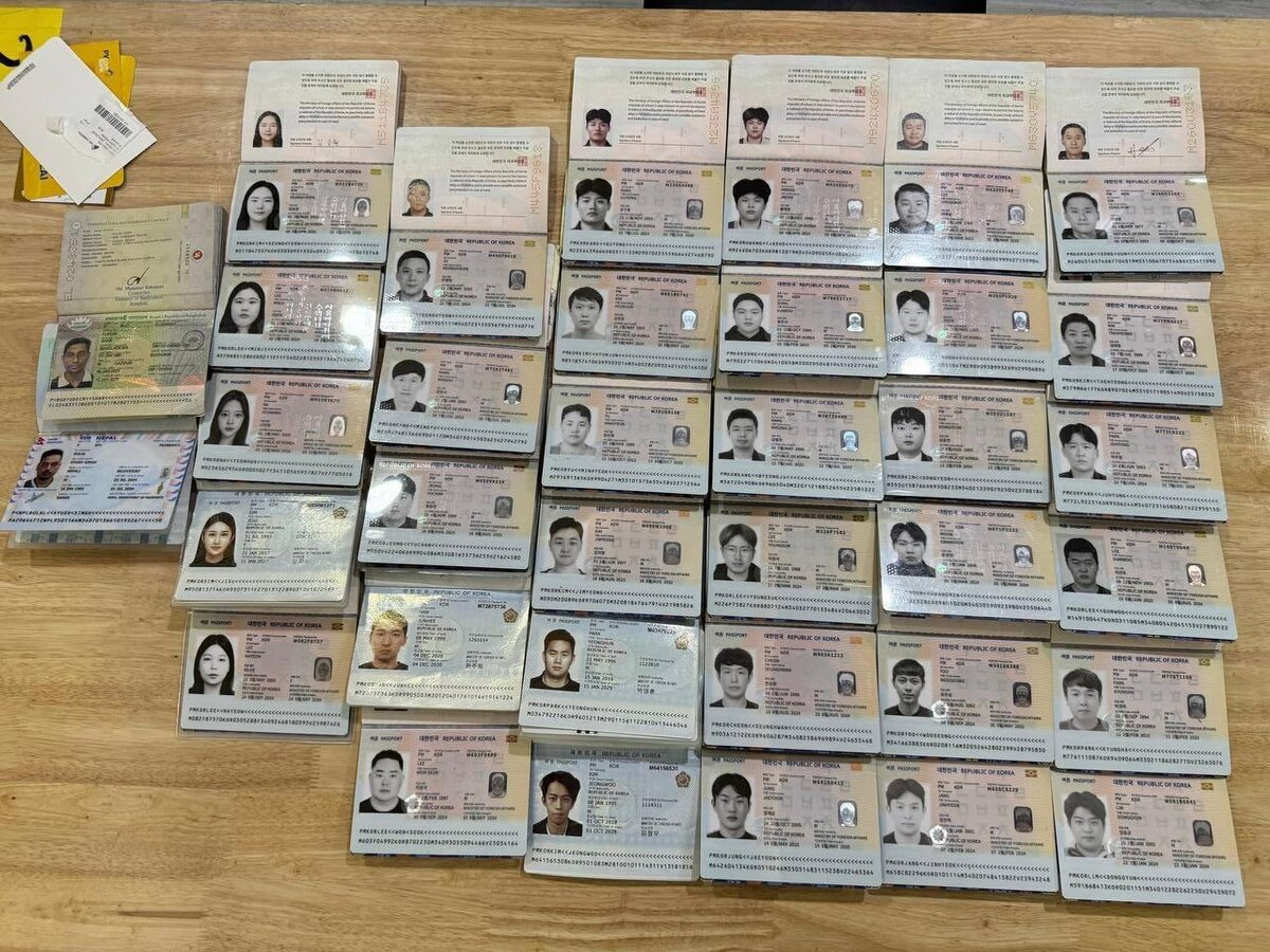 突发重磅：金边警方突查电诈窝点，48名嫌疑人被捕