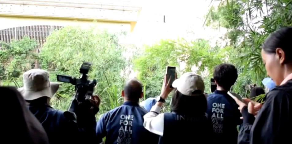 泰国总理：柬埔寨不打电诈，泰国不停火