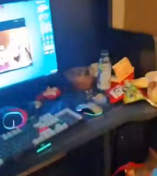 旅行社提醒：柬埔寨商务签落地签必读，纹身遮盖规定与入境须知 - 柬埔寨商务签