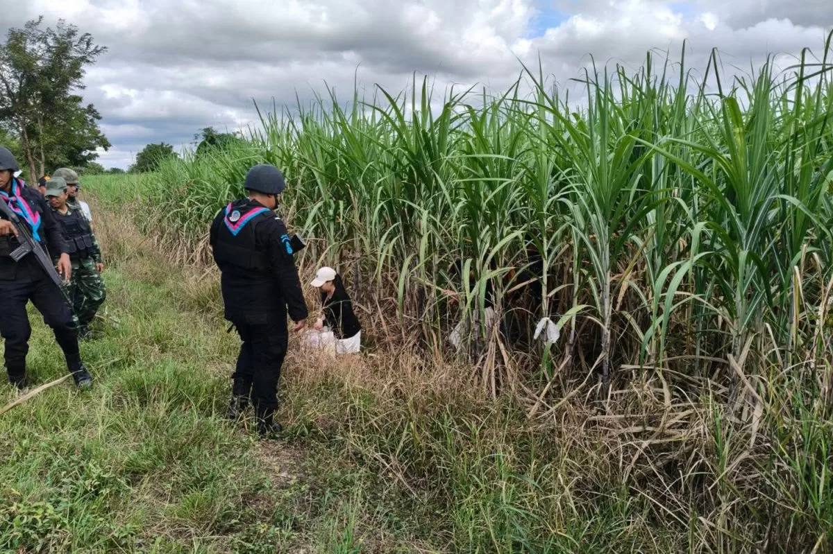 要去波贝当网络主管 4人偷渡被抓
