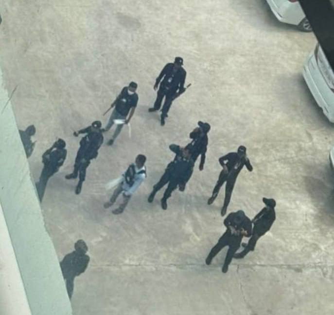 突发事件：木牌今天再抓57名狗推