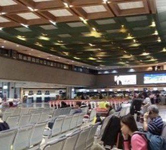 千万别坐白色出租车!马尼拉黑车围猎中国游客的“连环套”