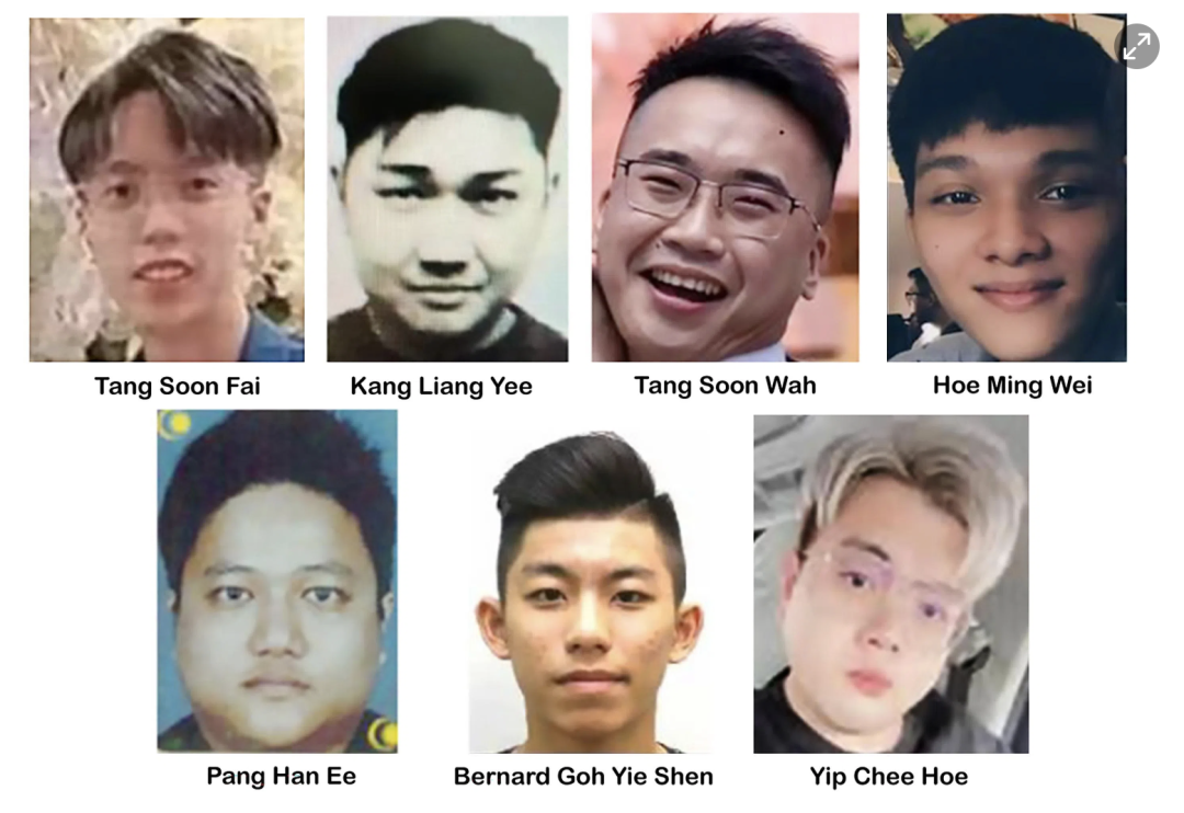 新马联合通缉！柬埔寨2.18亿电诈案7主犯姓名照片公布，唐顺辉等在列 - 柬埔寨诈骗